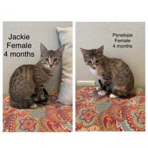Jackie and Penelope
