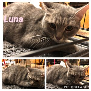 Luna