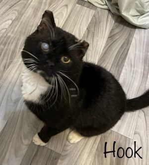 Hook