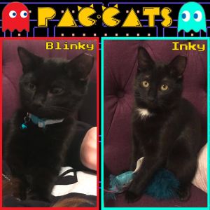 Inky and Blinky