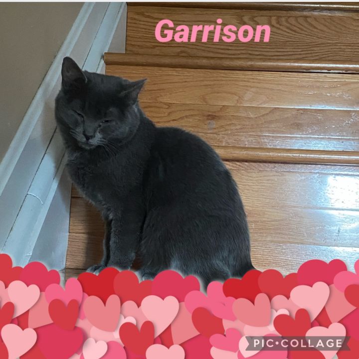Garrison 4