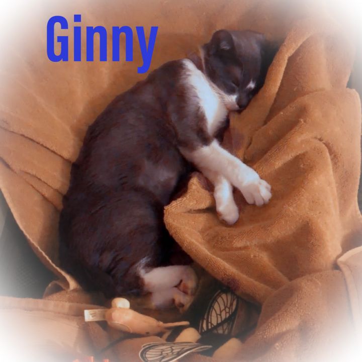 Ginny 2