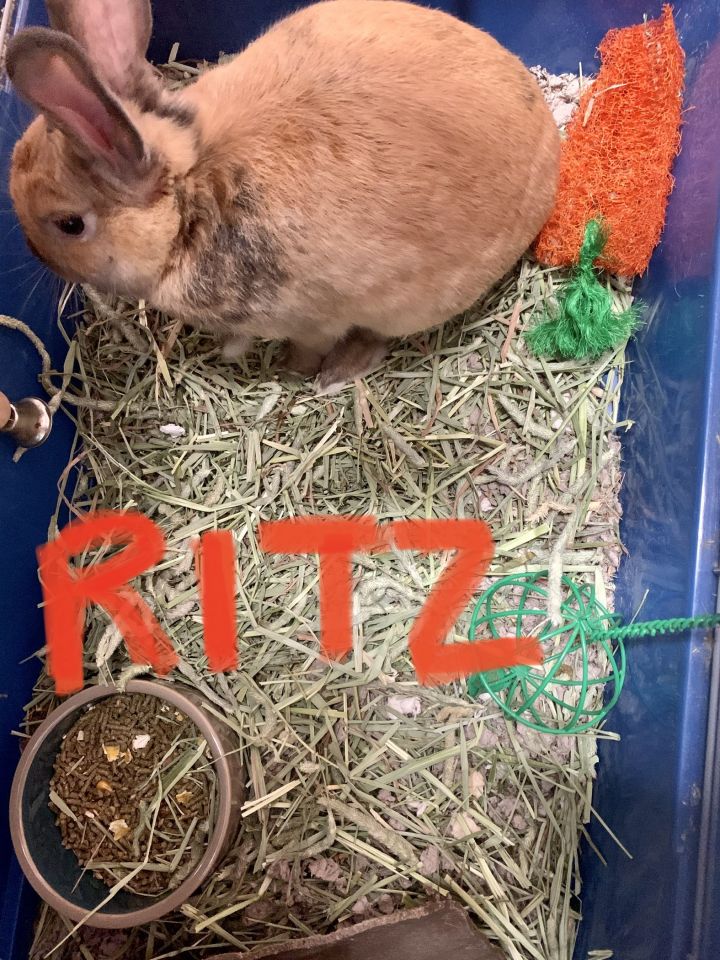 Ritz 2