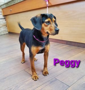 Peggy