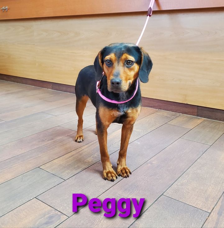Peggy 2