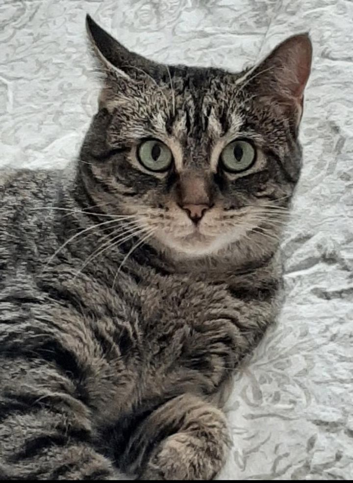 Sammie 1