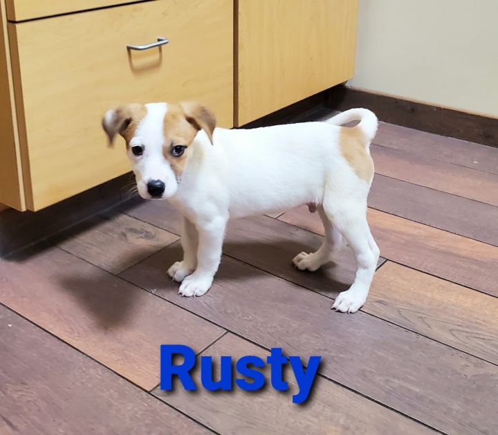 Rusty 2