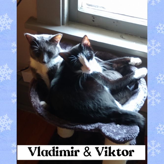 Viktor & Vladimir