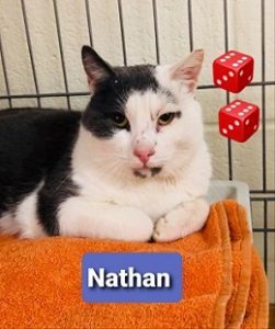 Nathan 2