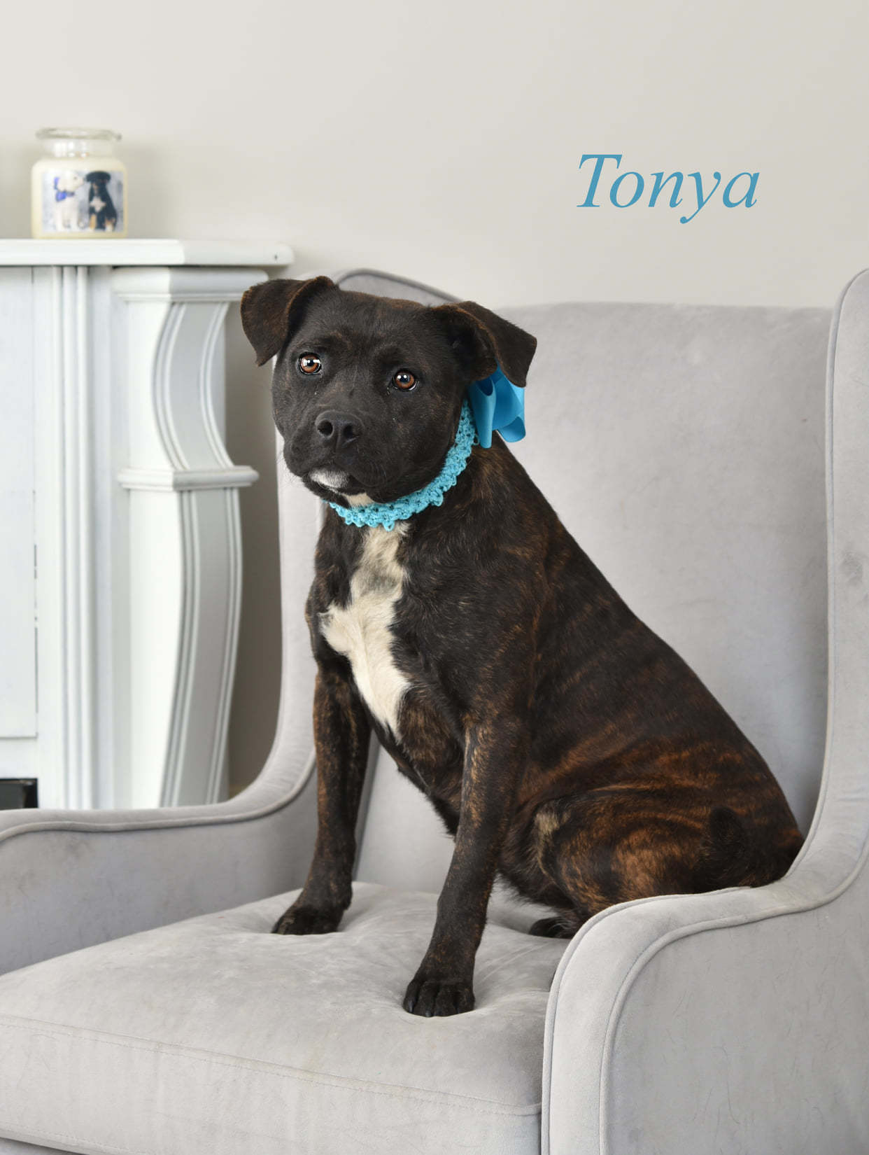 Tonya detail page