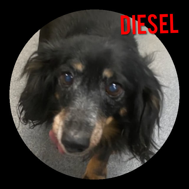 Diesel detail page