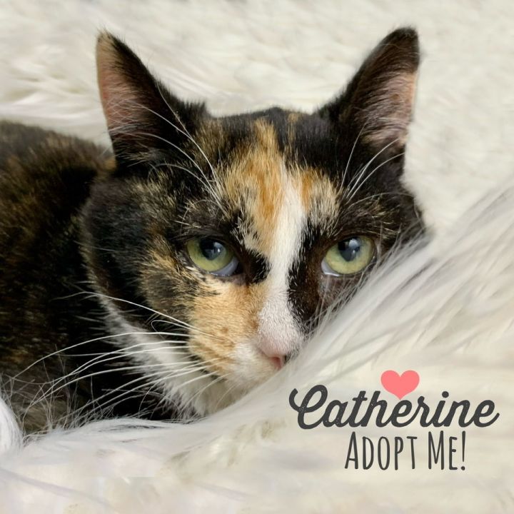 Catherine 3