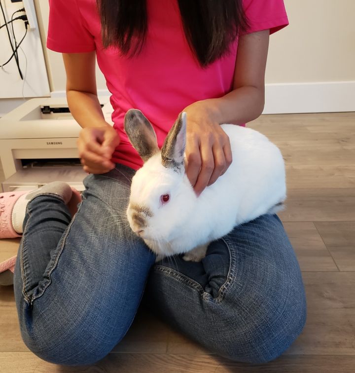 Stella (Vancouver) 5