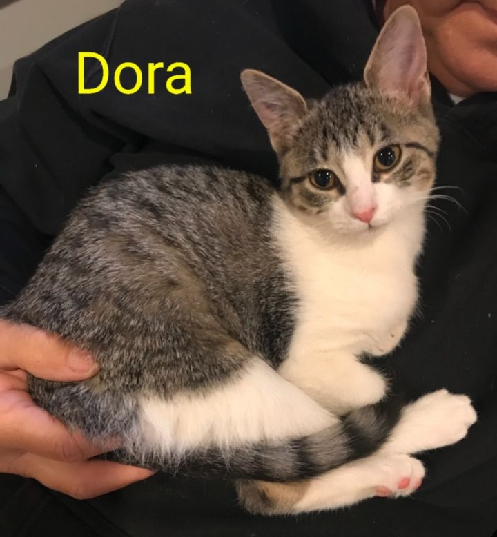 Dora (and Cora) 1