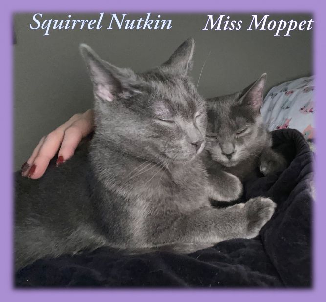 Squirrel Nutkin and Miss Moppet