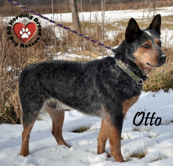 Otto 3