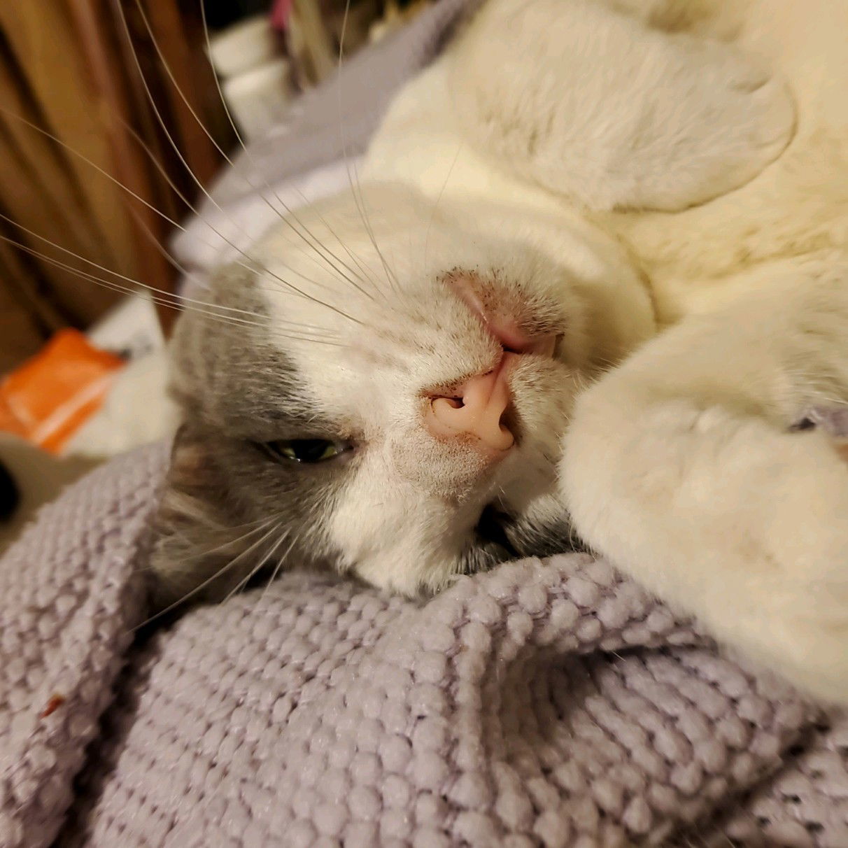 Donny - I am a Talker!