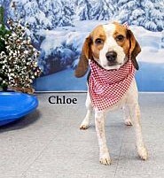 Chloe 2