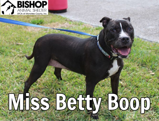 Miss Betty Boop