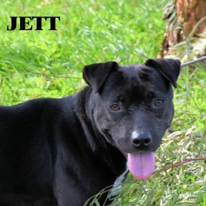 Jett