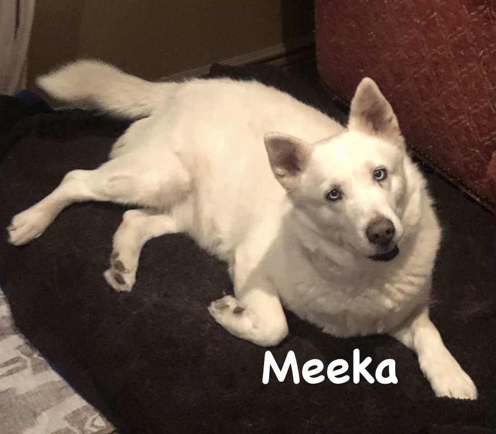 Meeka detail page