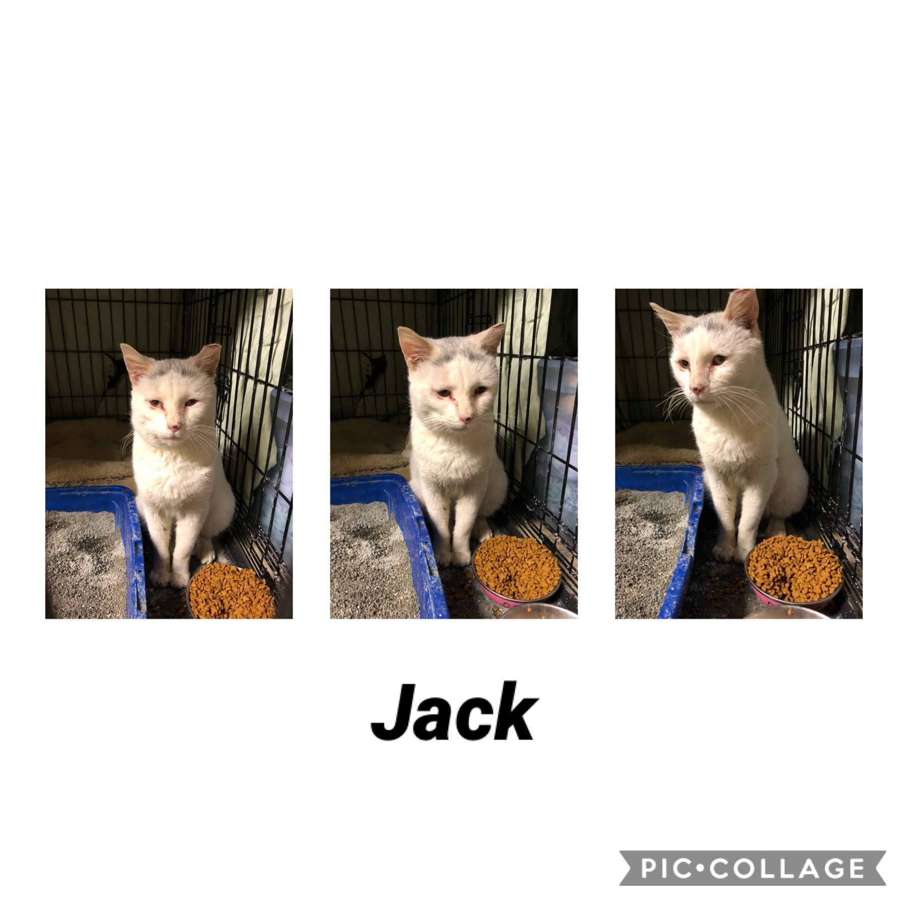 Jack detail page