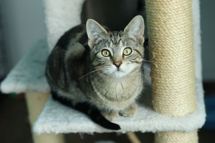 Baxter Poe 0920 bonded w Massey 2