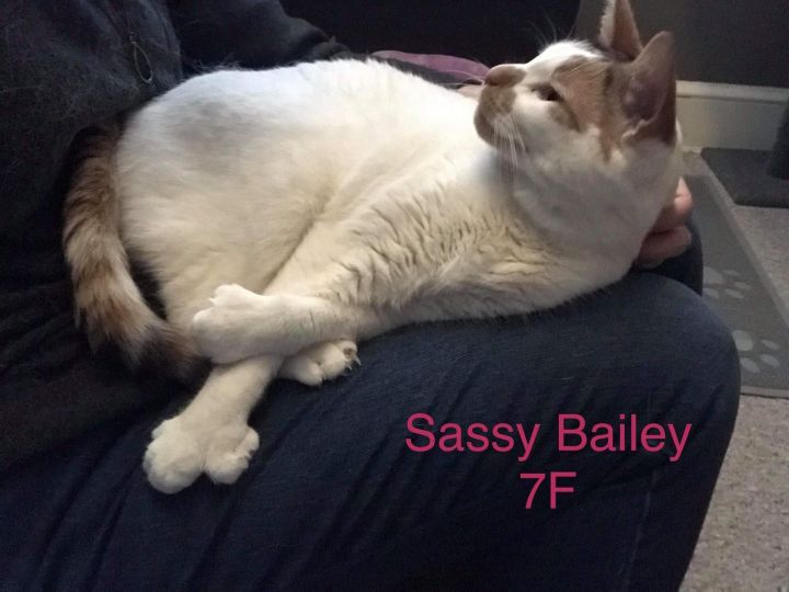 Sassy Bailey 2
