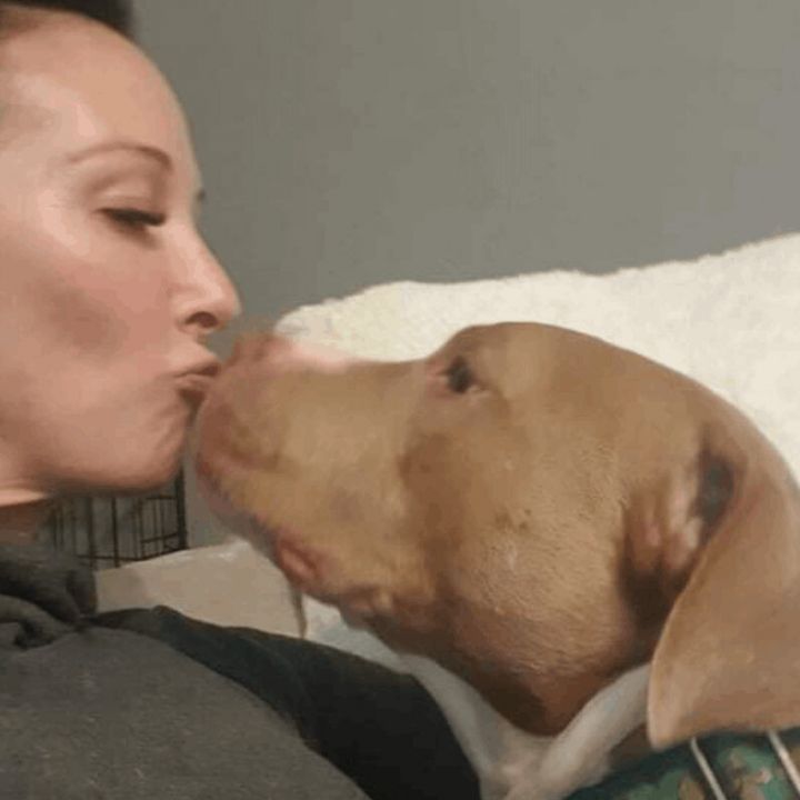 Delilah 4