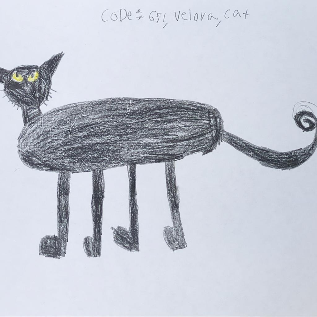 Velora, an adoptable Domestic Short Hair in Kanab, UT, 84741 | Photo Image 2