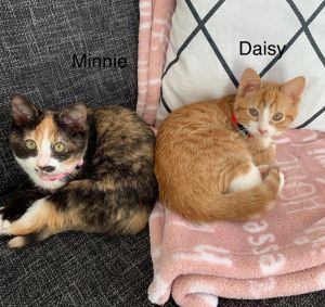 Minnie and Daisy