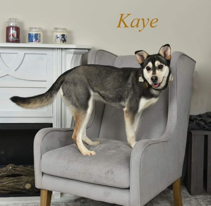 Kaye 5