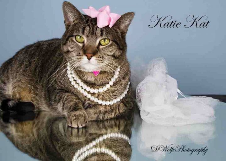 Katie Kat 1