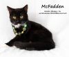 MCFADDEN photo 2
