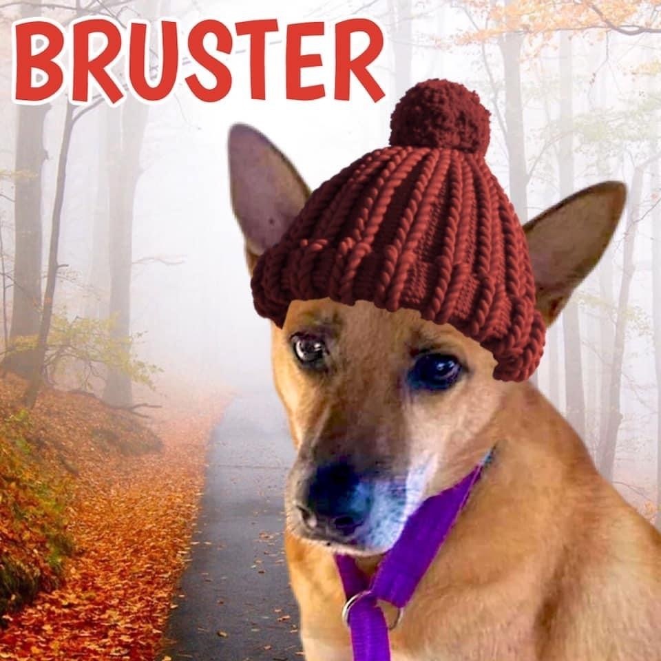 Bruster Urgent Need detail page