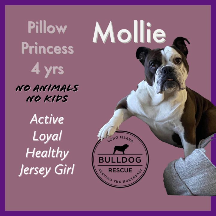Miss Mollie 1