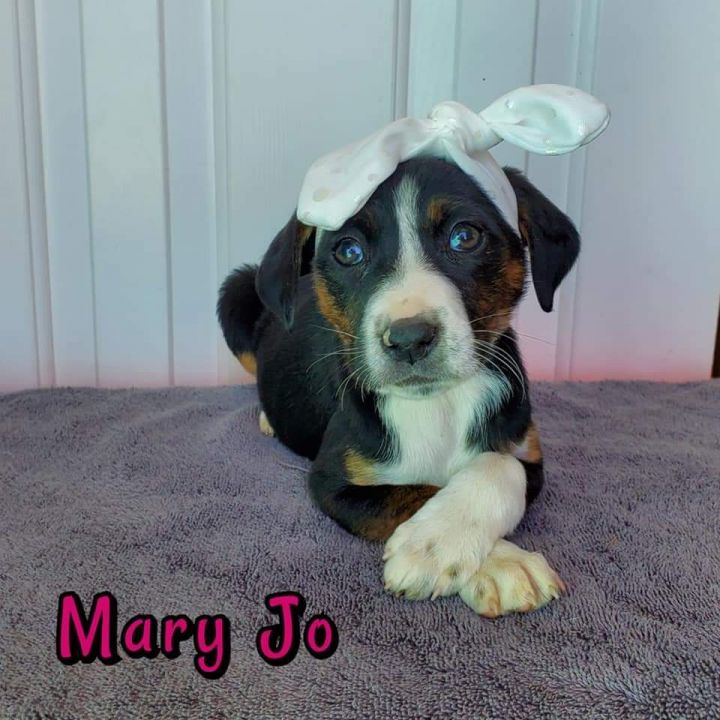 Mary Jo 1