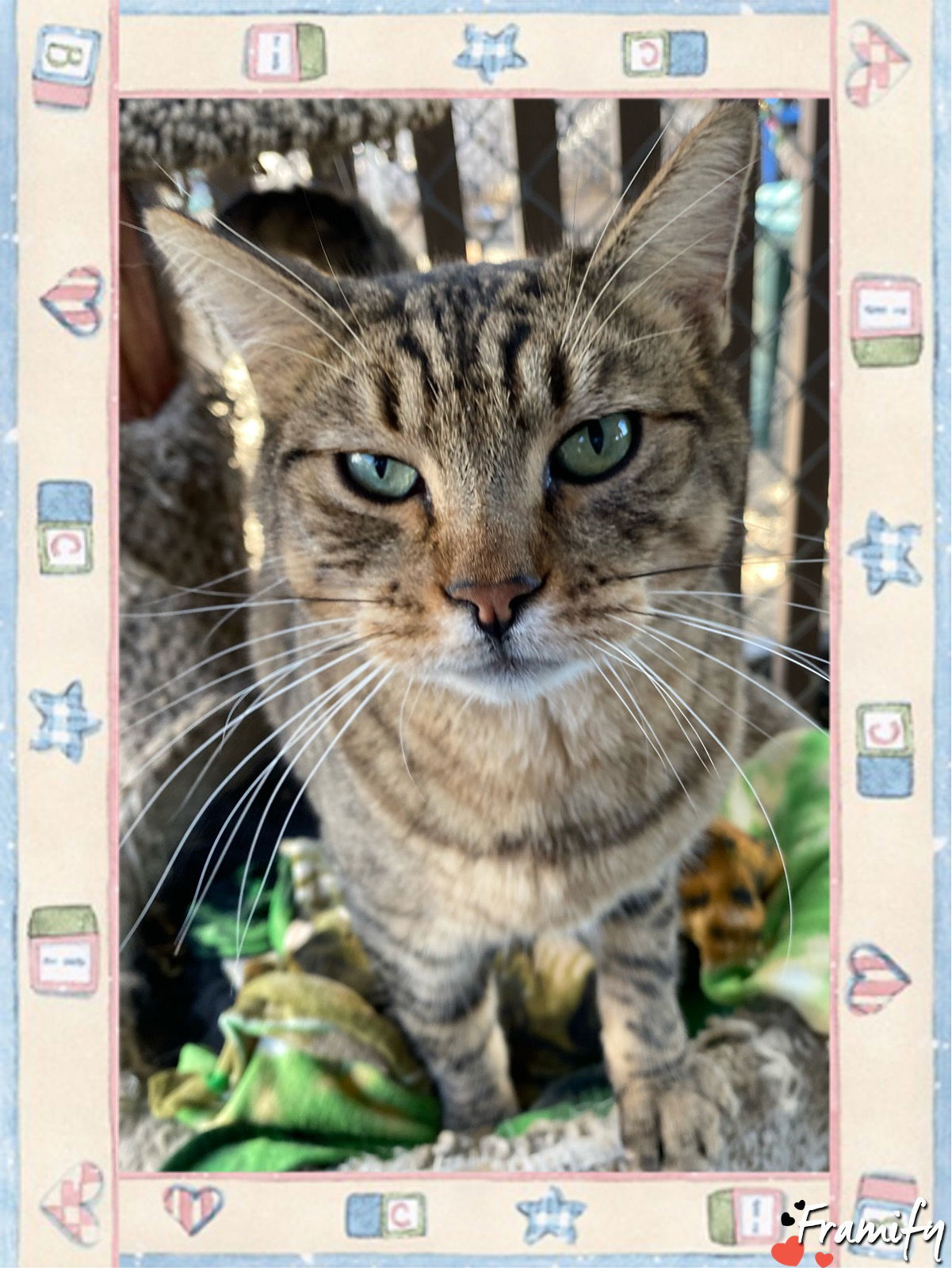 Tom
