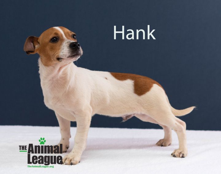 Hank 1
