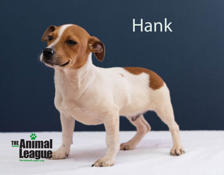 Hank 2