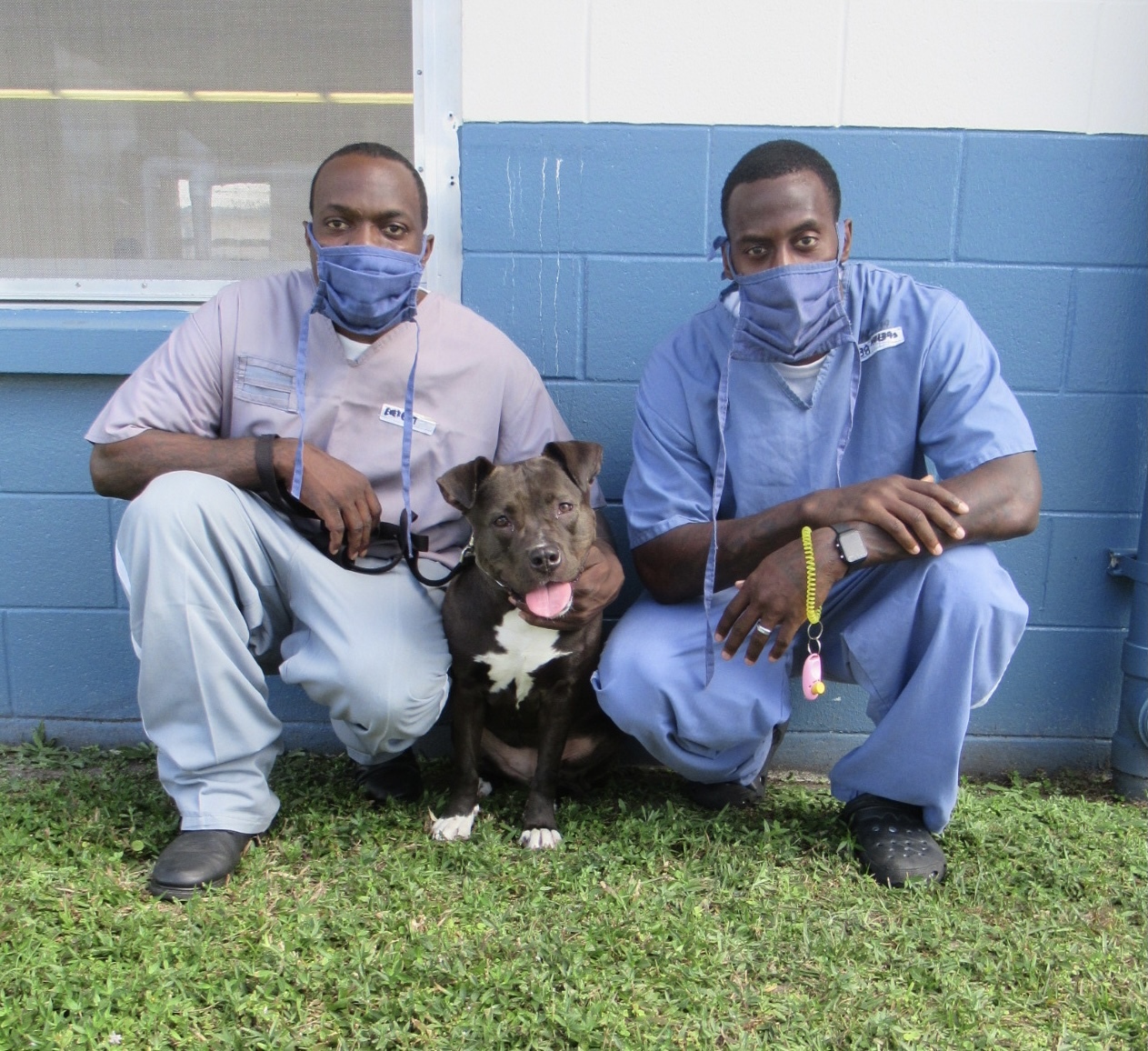 Zoe - Pawsitive Direction Program, an adoptable Pit Bull Terrier in Loxahatchee, FL, 33470 | Photo Image 4