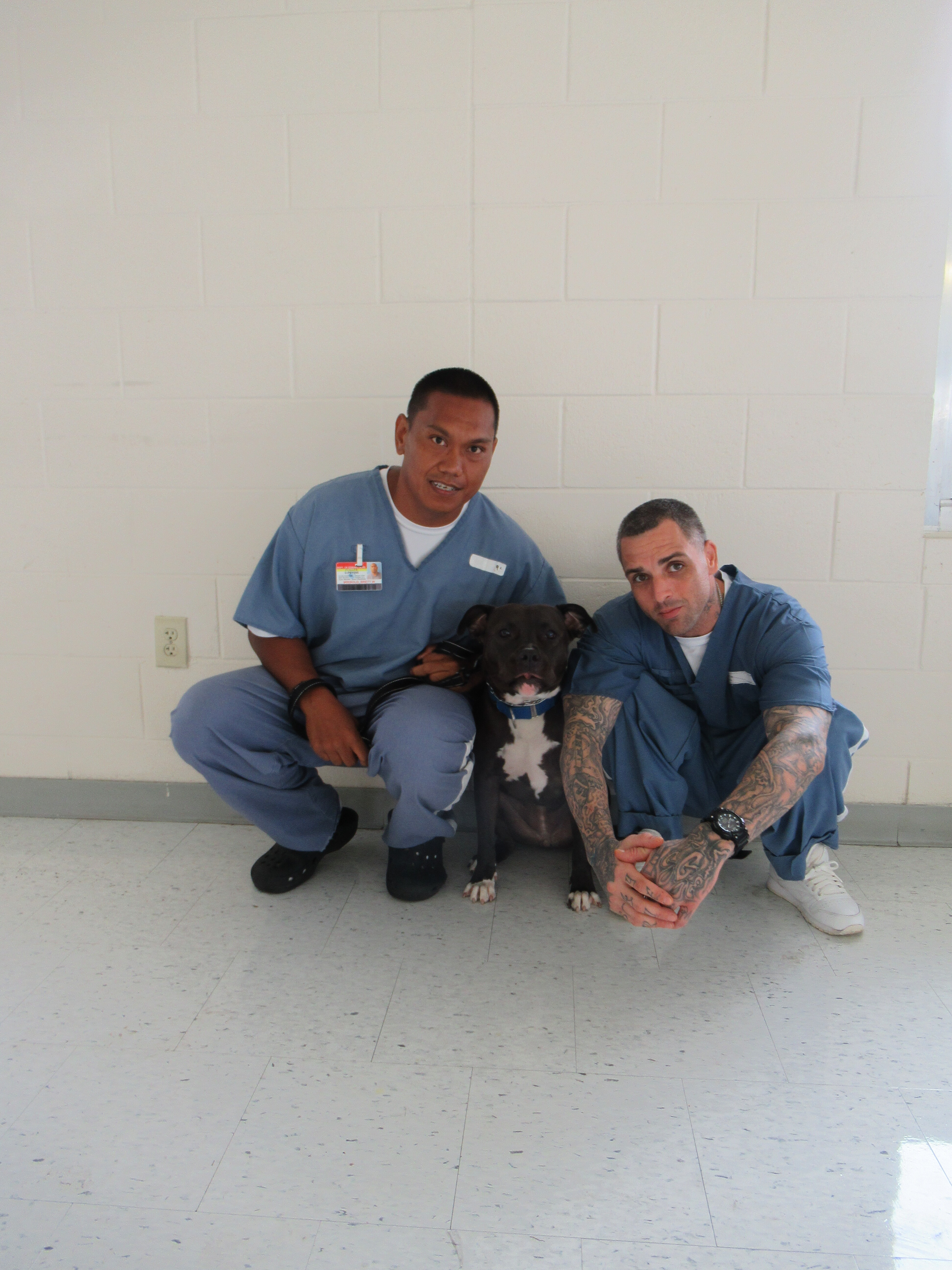 Zoe - Pawsitive Direction Program, an adoptable Pit Bull Terrier in Loxahatchee, FL, 33470 | Photo Image 10