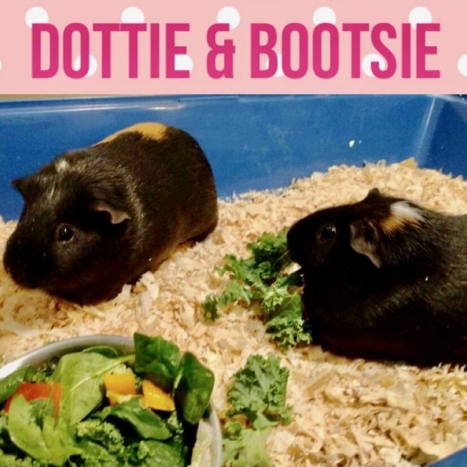 Bootsie and Dottie