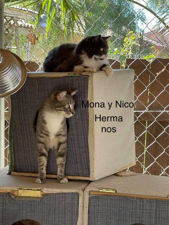 Mona and Nico