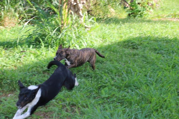 THELMA (bonded w/LOUISE) 3
