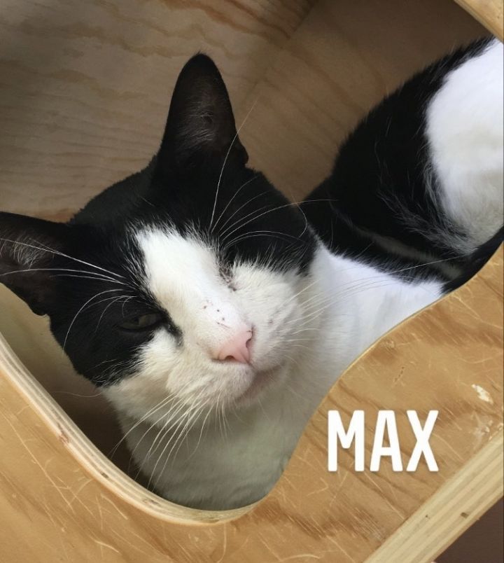Max 5