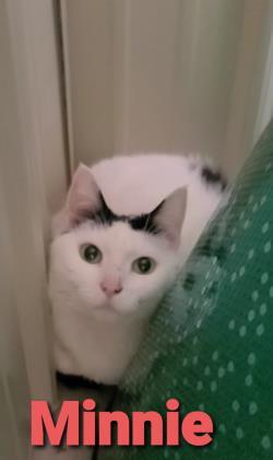 Minnie