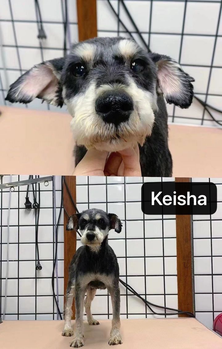 Keisha 3
