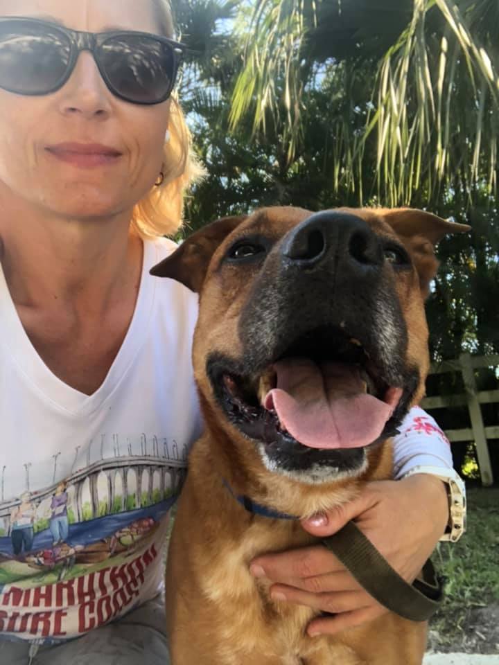 SANDY, an adoptable Black Mouth Cur in Palm City, FL, 34990 | Photo Image 3