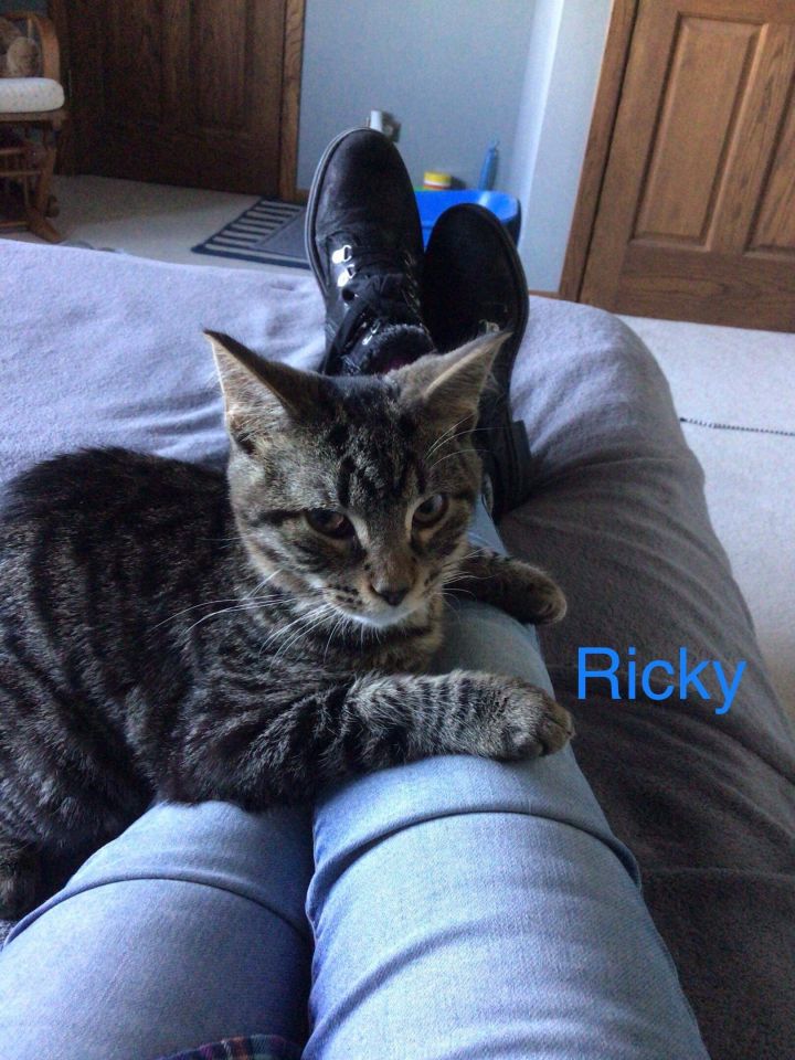 Ricky 2